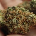 Is delta 8 natural or synthetic?