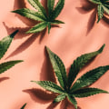 What delta 8 disposable gets you the highest?
