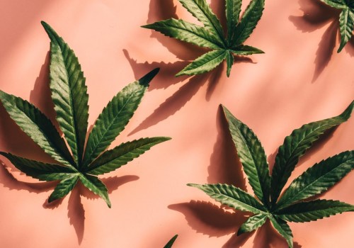 What delta 8 disposable gets you the highest?